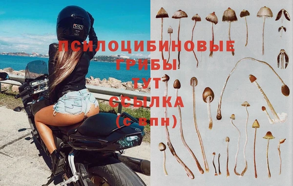 гашиш Верея